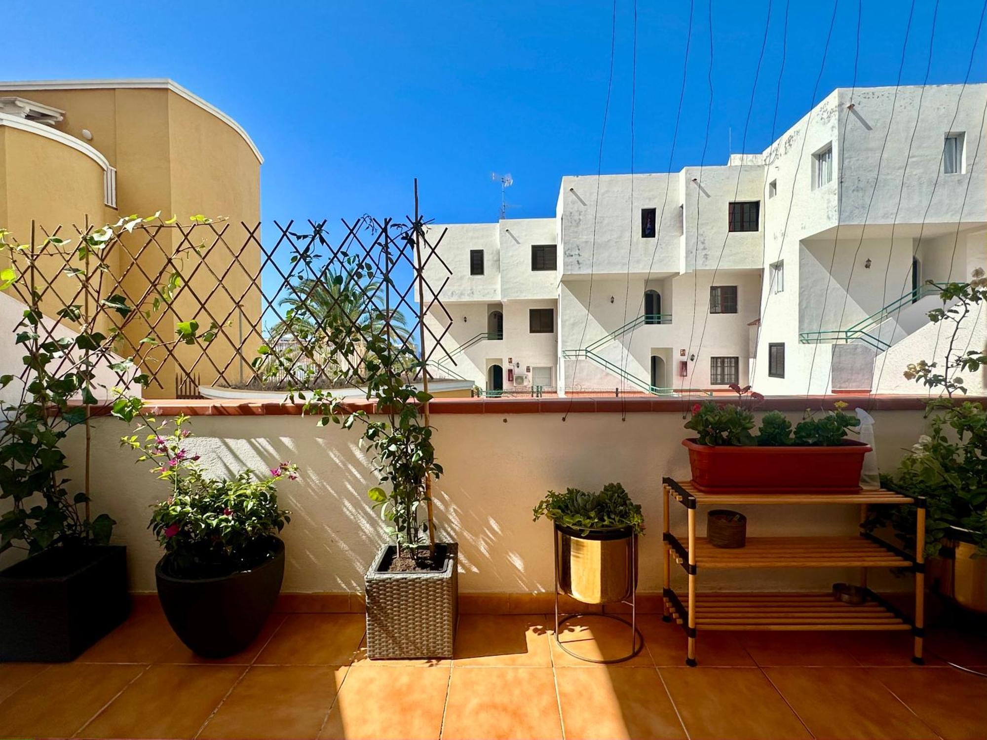Apartment In Ocean Park Ii, Costa Adeje, Tenerife Exteriör bild